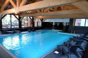 Stunning Alpine apt: pool-spa-gym-telecabine